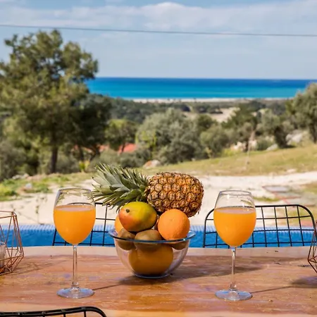 Patara Flower 4*